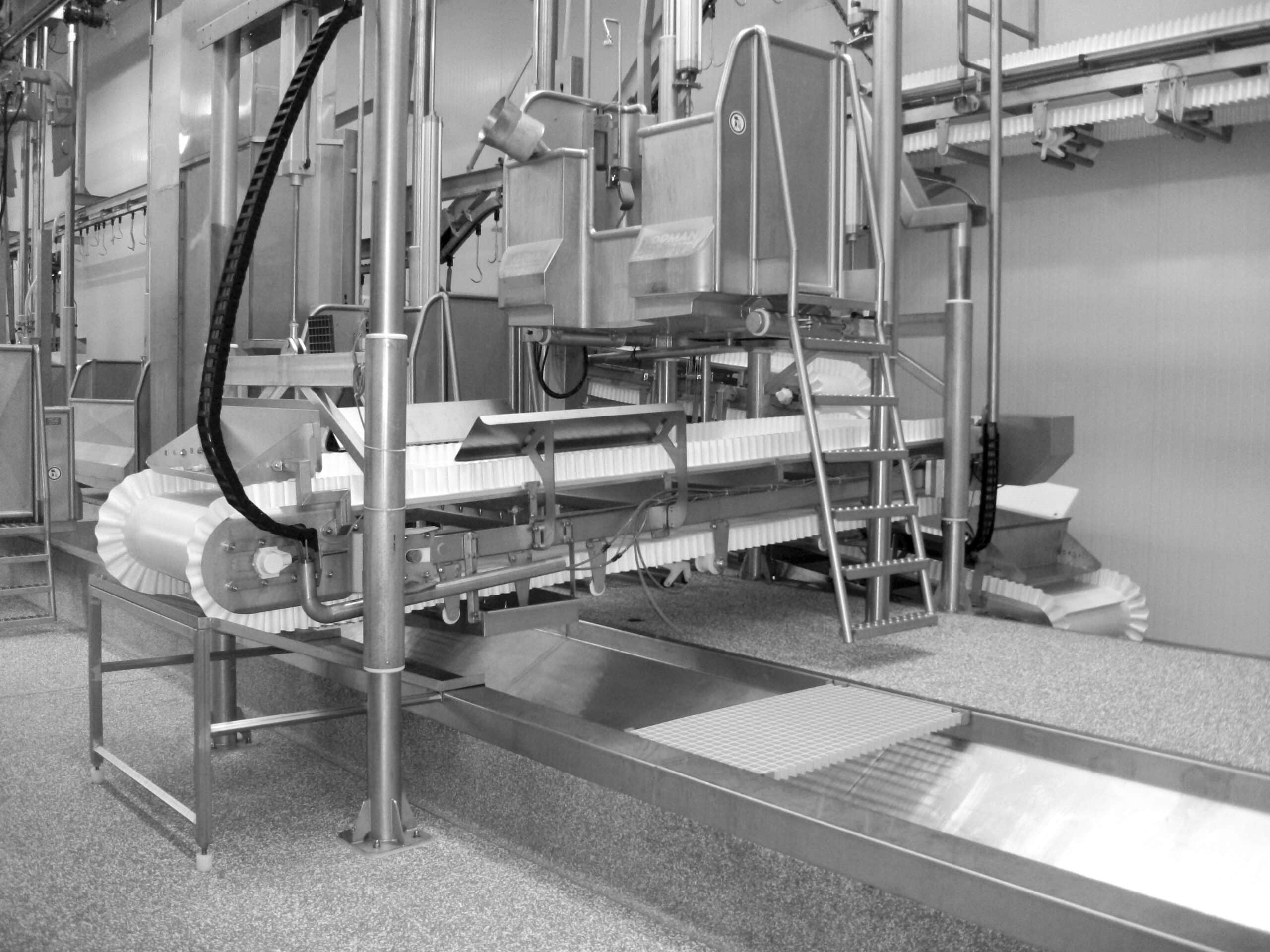 Plateforme éviscération avec tapis