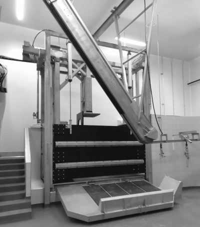 elevateur-saignee-chaine-bovin